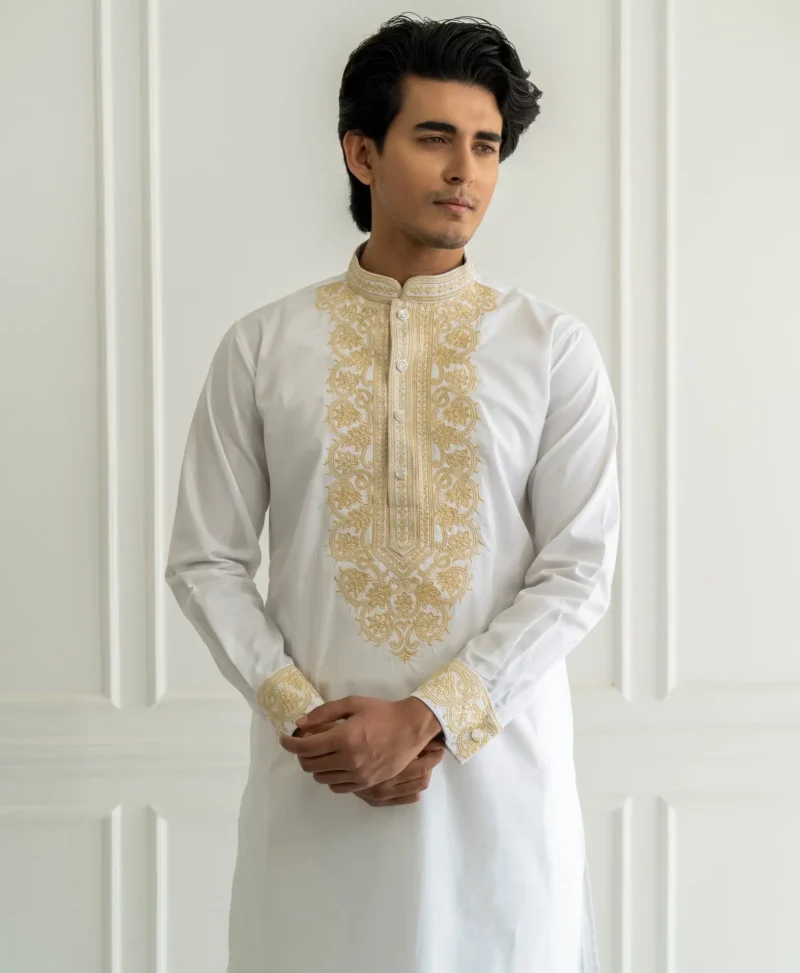 Regular Panjabi collection